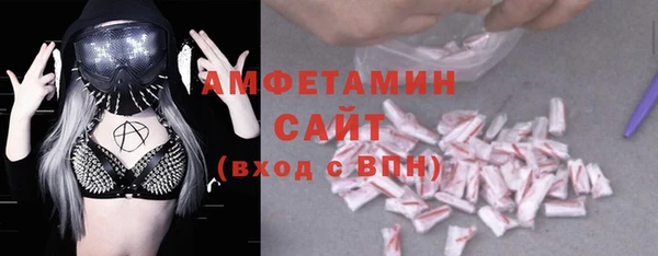 амф Ельня