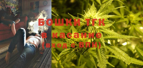 амф Ельня