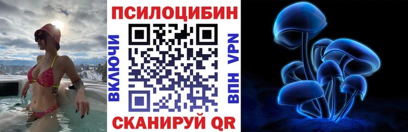 купить наркотики цена  Казань  блэк спрут онион  Псилоцибиновые грибы Psilocybine cubensis 